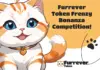Furrever Token (FURR) se roba la atención con una competencia de recompensa de $10,000 en medio de las señales de recuperación de Dogecoin (DOGE) y Shiba Inu (SHIB)