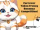 Furrever Token (FURR) se roba la atención con una competencia de recompensa de $10,000 en medio de las señales de recuperación de Dogecoin (DOGE) y Shiba Inu (SHIB)
