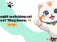 Solana y Ethereum se reúnen, el token Furrever marca el éxito de la preventa con una competencia de $10,000