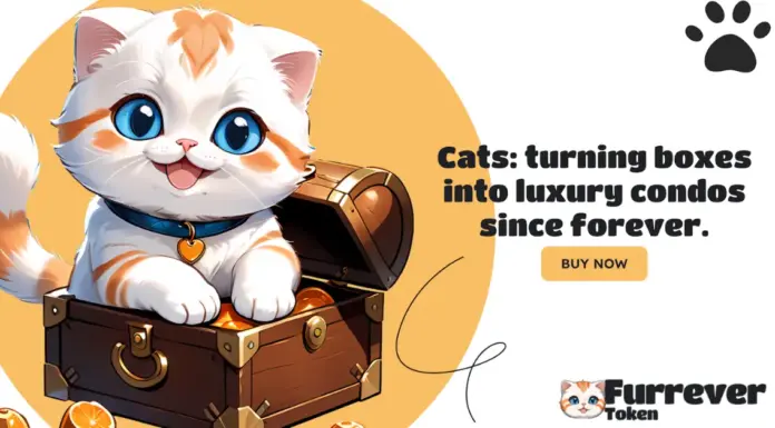 Explorando la dinámica del mercado criptográfico: Shiba Inu, Ethereum y Furrever Token