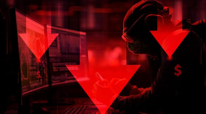 Memecoin sufre estafa y pierde el 99% de su valor