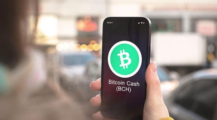 Bitcoin Cash se prepara para implementar el hard fork 'Jessica'