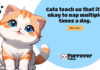 Explorando las tendencias en el mercado de las criptomonedas: Shiba Inu, Dogecoin y Furrever Token