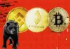 ¿Por qué el mercado criptográfico está caído hoy?