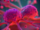 El detector de cáncer con IA cuenta con una precisión del 98 % en 13 tipos, según un estudio
