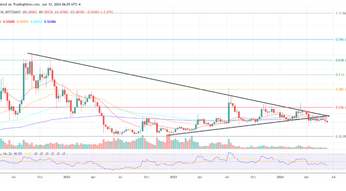 Ex director de Ripple explica la caída del precio de XRP en medio de buenas noticias