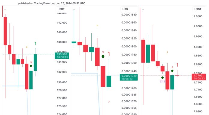 Shiba Inu, Solana y Cardano están viendo señales de compra: analista