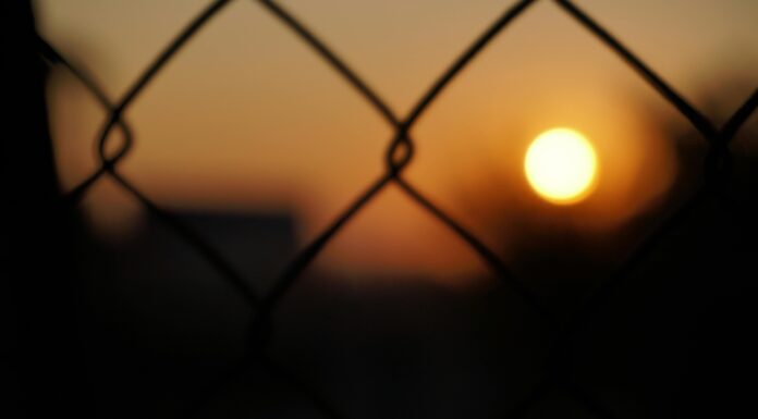 ¡Alerta de fuga! Chainlink (LINK) al borde de un gran aumento, dice un analista