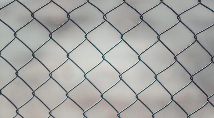 ¡Los revendedores se regocijan! El principal analista predice un aumento a corto plazo de Chainlink (LINK)