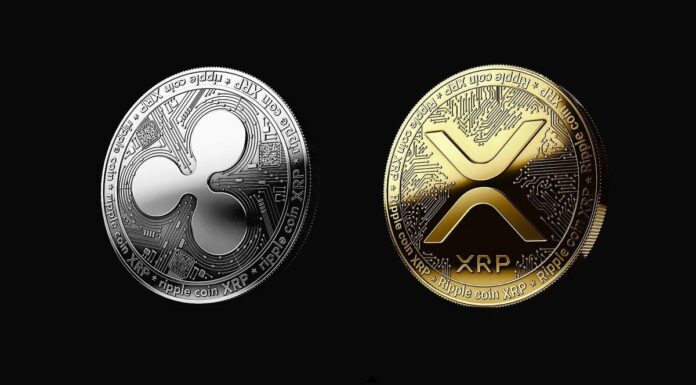 Dominio de XRP: un experto dice que perderse esta altcoin podría ser un gran error