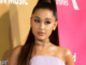 Solana Meme Coin Michi bombea después de que Ariana Grande comparte la foto del gato