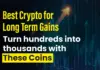 Las 5 mejores criptomonedas para obtener ganancias a largo plazo: convierta cientos en miles con estas monedas