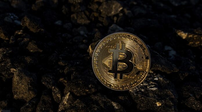Las empresas mineras de Bitcoin son testigos de un repunte del 10% en el precio de las acciones mientras Trump promete apoyo