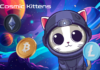 ¿Puede $100 invertido en Shiba Inu (SHIB), Solana (SOL) y Cosmic Kittens (CKIT) crecer hasta $10,000 en 2024? cosmic kittens