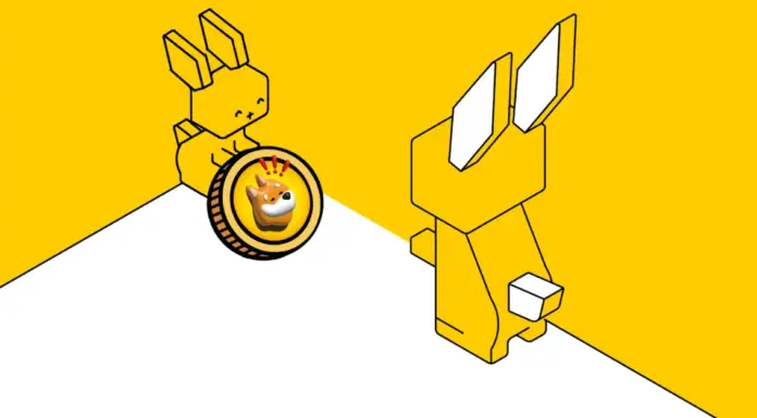 Razones detrás del aumento del 60% de Raboo: lista para ser la próxima gran moneda meme junto con FLOKI y Bonk