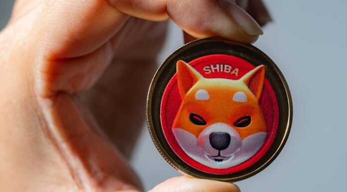 Shiba Inu (SHIB) vulnerable a la caída en medio de una venta masiva, dice un analista