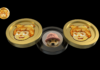 He aquí por qué Dogwifhat, Pepecoin y AlexTheDoge pueden recuperarse un 300.000% en días