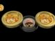 He aquí por qué Dogwifhat, Pepecoin y AlexTheDoge pueden recuperarse un 300.000% en días