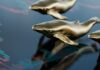 Las ballenas Bitcoin están obteniendo ganancias y cobrando $ 1.2 mil millones en 2 semanas: analista