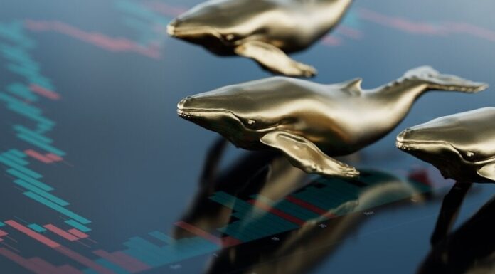 Las ballenas Bitcoin están obteniendo ganancias y cobrando $ 1.2 mil millones en 2 semanas: analista