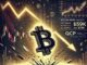 Binance compró la friolera de 41.000 BTC durante la caída: ¿salvó el mercado de Bitcoin?