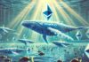 Las ballenas de Ethereum acumulan ETH rápidamente en medio de la caída de precios