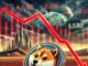 ¿Puede Burns hacer que el precio del Shiba Inu y LUNC baje a 0,01 dólares? Experto opina
