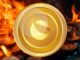 Terraform Labs reabrirá Shuttle Bridge y quemará tokens LUNA