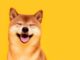 Dogecoin se prepara para una gran subida: un analista ve el patrón gráfico «más bonito»