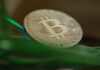 Bitcoin vuelve a caer tras unos días de registrar ganancias