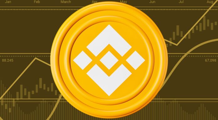 Analista evalúa el futuro de BNB: ¿continuará el aumento?