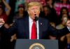 Esta semana en Crypto Twitter: ¿Apostando todo por Trump o yendo demasiado lejos?