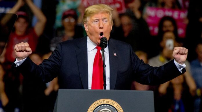 Esta semana en Crypto Twitter: ¿Apostando todo por Trump o yendo demasiado lejos?