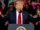 Esta semana en Crypto Twitter: ¿Apostando todo por Trump o yendo demasiado lejos?