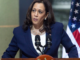 La rama de olivo de Kamala Harris a las criptomonedas «llega un poco tarde», dice Bernstein