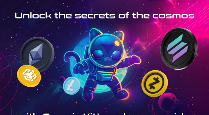 Chiliz (CHZ), Cosmic Kittens (CKIT) y Beldex (BDX): Las Blue Chips del futuro cosmic kittens blue chip