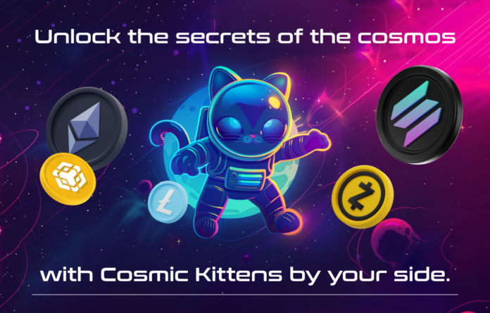 kittens cosmic kittens blue chip