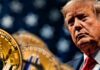 El apoyo de Trump a las criptomonedas no es sincero: Arthur Hayes