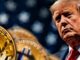 El apoyo de Trump a las criptomonedas no es sincero: Arthur Hayes
