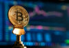 Bitcoin podría alcanzar el máximo de su ciclo actual en enero de 2025, predice un analista