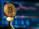 Bitcoin podría alcanzar el máximo de su ciclo actual en enero de 2025, predice un analista