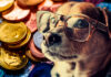 Las 5 mejores memecoins para comprar hoy: ¿está surgiendo el próximo BRETT?