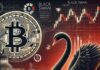 ¿Es realmente seguro el bitcoin? Nuevas reflexiones del autor de 'Black Swan' sobre la reciente caída