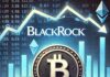 Flujos de $0: BlackRock se mantiene firme a pesar de la reciente caída del mercado de Bitcoin, según muestran los datos
