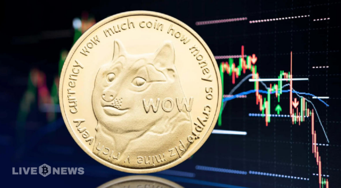 Elon Musk absuelto en demanda colectiva por Dogecoin