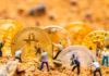 Caída de la actividad de minería de Bitcoin desde el intercambio en 2024: ¿se avecina un aumento alcista?