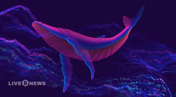 Un ataque de phishing robó 55 millones de dólares a una ballena