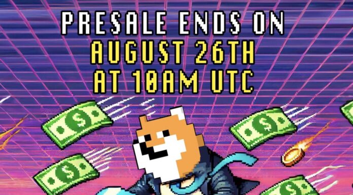PlayDoge entra en los últimos días de preventa y revela más detalles del juego P2E
