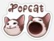 Señal bajista para POPCAT: el precio podría caer un 15%, este es el motivo