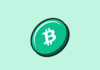 Bitcoin Cash (BCH): un analista señala el momento ideal para una compra estratégica